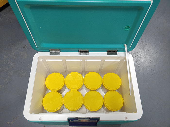 54L綠色丝瓜IOS污在线观看安全運輸箱